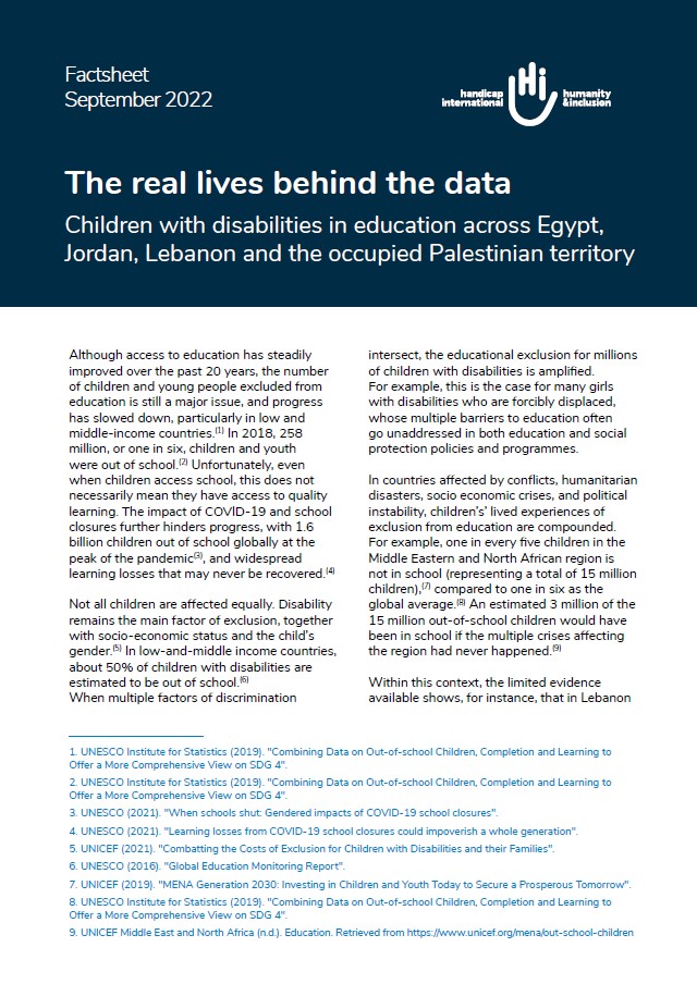 Cover of the Factsheet Real Lives behind the data 